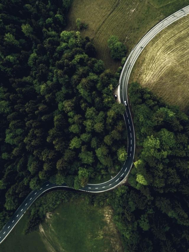 Road top-down